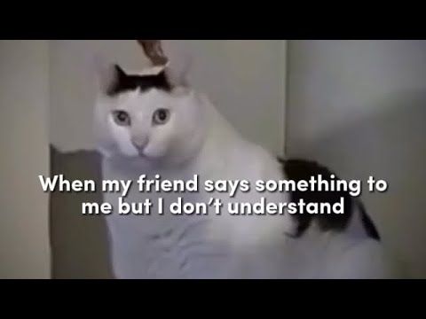 When my friend says something to me but I don’t understand - YouTube