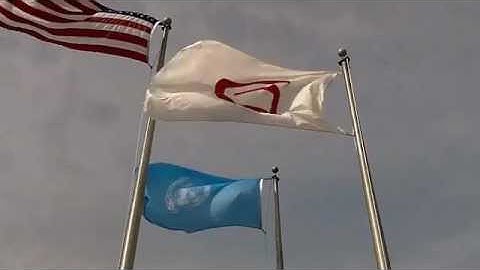FlagDesk.com | Flag Runners find Flag Display at Abbott Labs in Palatine, IL