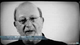 What is the Difference Between Legal \& Ilegal Drugs? - Dennis McKenna - Neurons to Nirvana