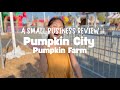 Small Business Review: Pumpkin City Adventures! 🎠🍂 A Day at the Pumpkin Farm with My Family