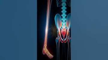 Joint Types Explained: From Sutures to Synovial in 60 Seconds!