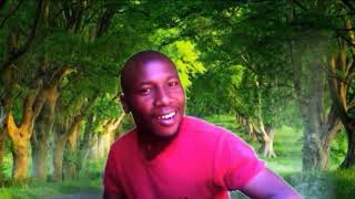 Thomas Chauke  Wo Tiyisela