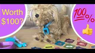 Skyrocket Moji the Lovable Labradoodle New Toys for Christmas 2021 Why I think he’s worth $100