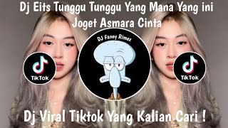 Dj Tunggu Tunggu Tunggu Yang Mana Yang Ini Coba Kasih Kaco  Dj Joget Asmara Cinta Viraltiktok2026