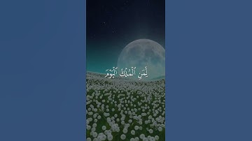 تلاوة خاشعة للقارئ أحمد السعيد مندور #quran