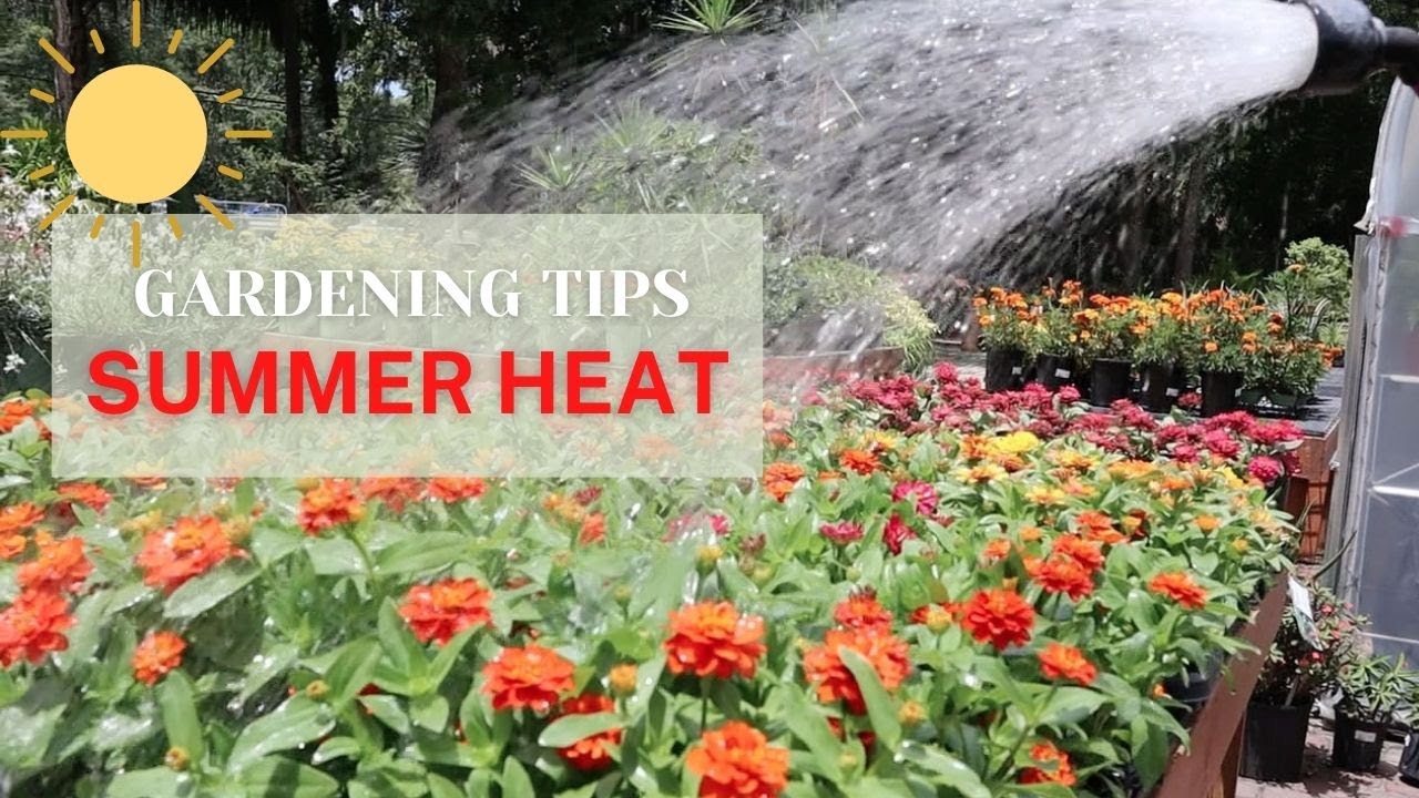 Gardening Tips for Summer Heat - YouTube