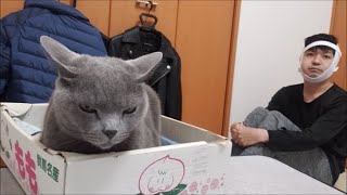 退院直後なのに果敢にも狂暴猫とのキッスに挑む勇者