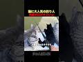 魚を待つ猫たちの圧がすごいｗのサムネイル