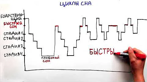 Научпок - Утренний стояк