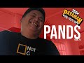 PANDS | VLOG 74