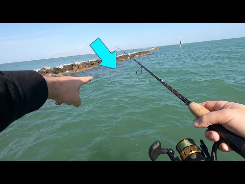 Non-stop Sheepshead action