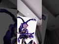 Prototipye Ve Lily