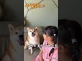 不同人對奈奈說你不可愛的反應