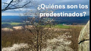 ¿Quiénes son los predestinados? Un análisis de dos posiciones (Efesios 1:4,5; Hechos 13:48). by Creced 484 views 2 weeks ago 6 minutes, 35 seconds