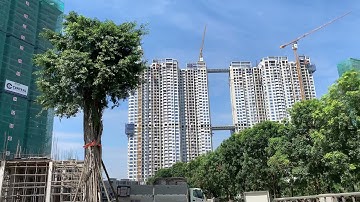 Solforest Ecopark 24/10/2021 kienhqhn