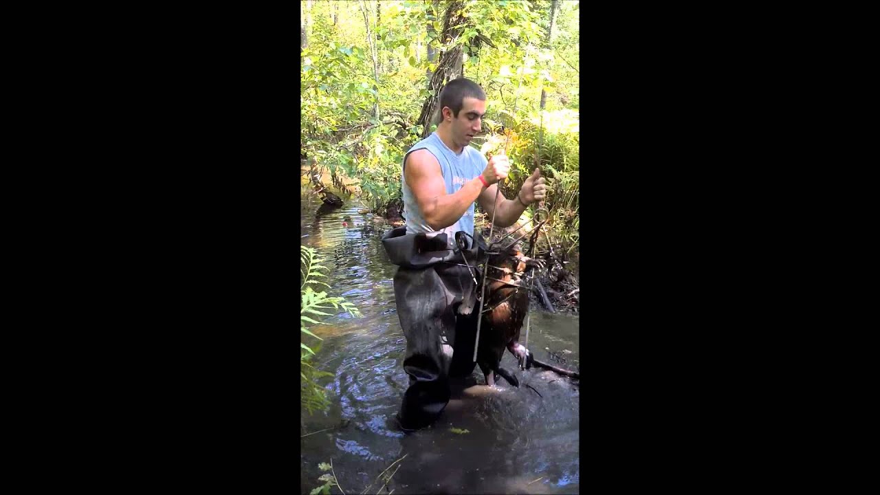 camera iphone 8 plus apk Shane learning to trap beaver 2013