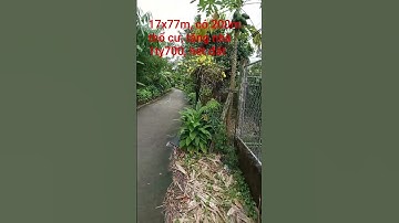 Bán 17x77m, có 200m thổ cư, tặng nhà cấp 4, giá 1ty700. #tintucbds #automobile #mientay #batdongsan