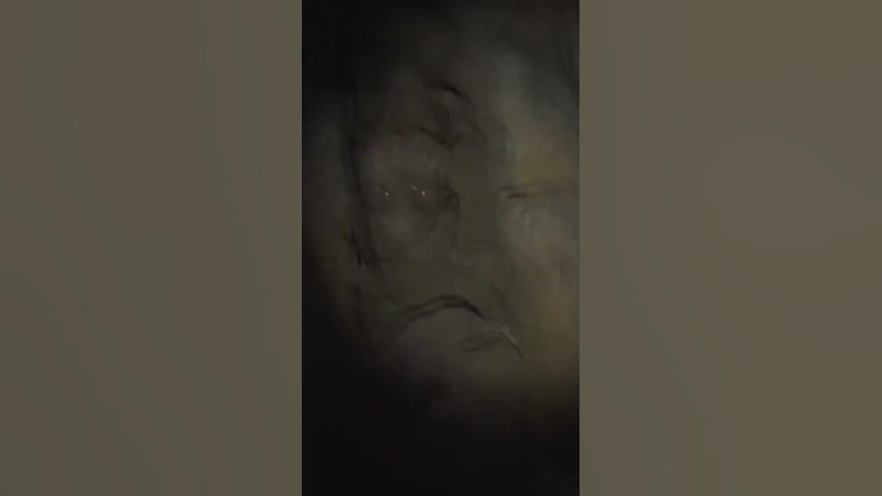Странное существо в пещере - YouTube
