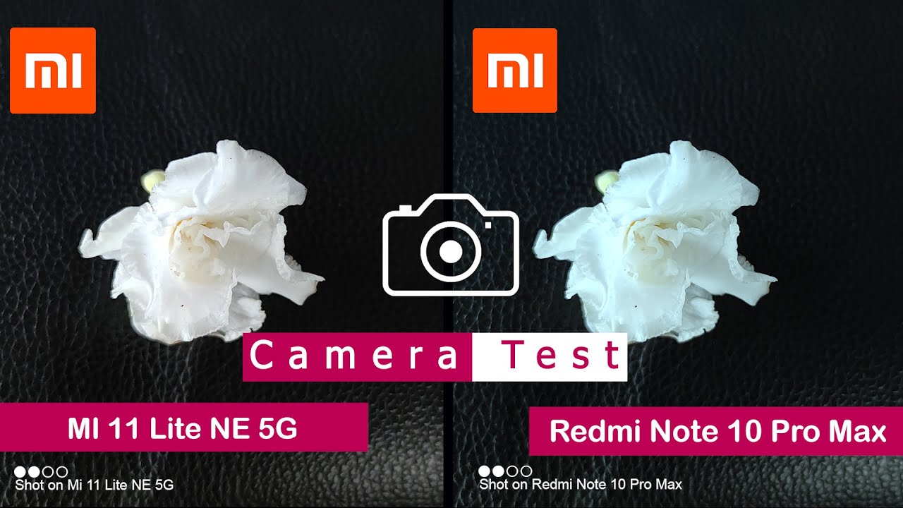 Mi 11 Lite NE 5G vs Redmi Note 10 Pro Max | Camera Comparison | Camera Test | | InTech |