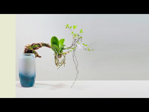Video 倪志翔 东方自然风流派临场发挥的作品 --插花 #FlowerArrangement - YouTube