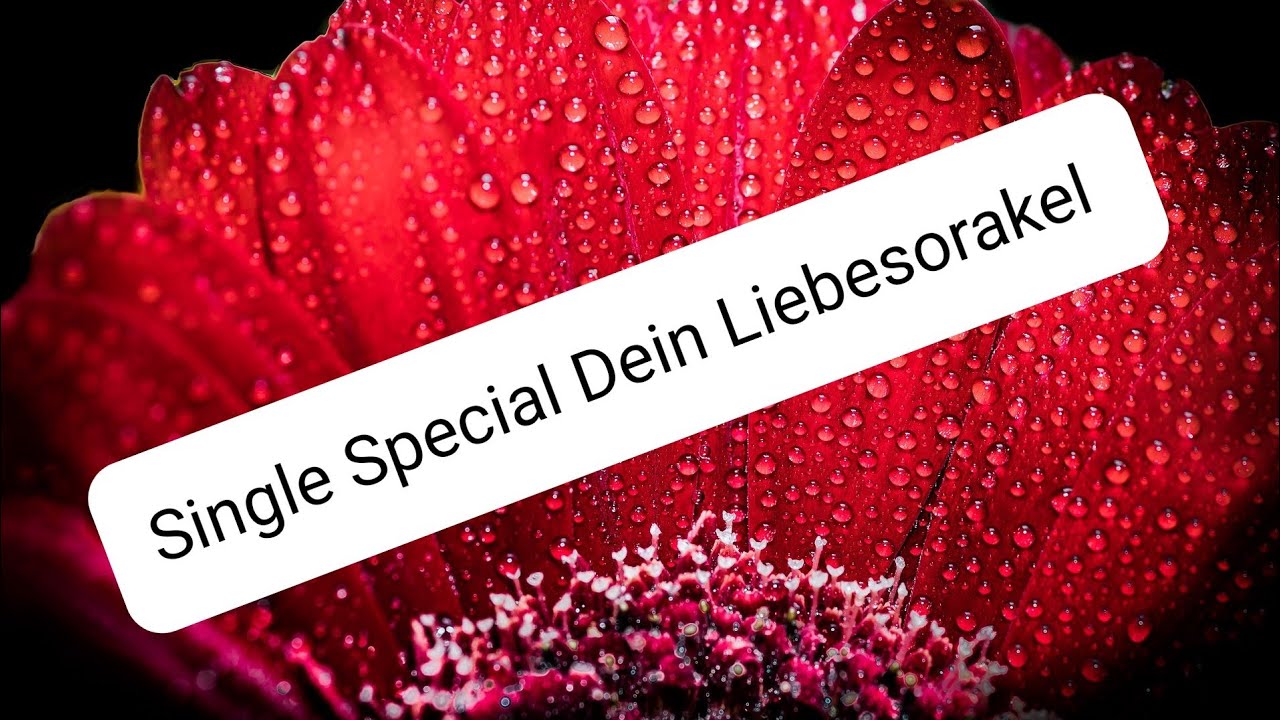 Amors Pfeil Wann Trifft Er Dich? Liebesorakel Für Single ❤