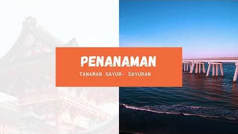 Video KKN angkatan 95 Posko 1 talise valangguni UNIVERSITAS TADULAKO