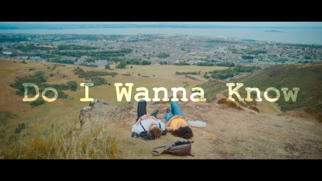 hozier do i wanna know