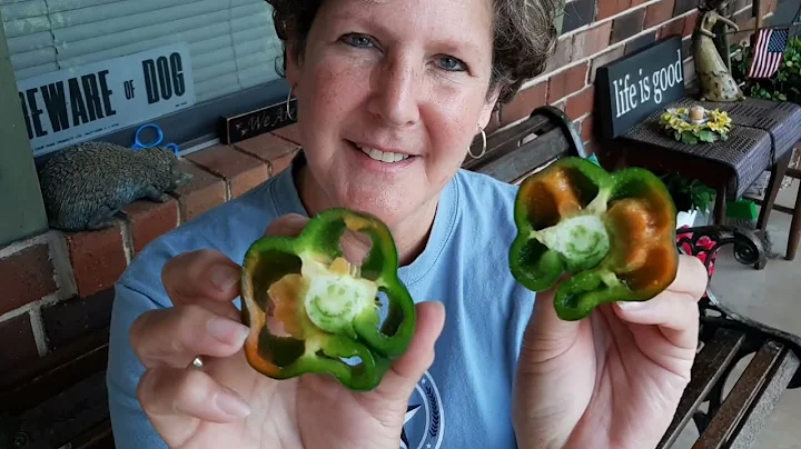 My NEW to me 1978 GMC C15 truck "Shannon" is getting the Rattle Can Painted Carpet, windows cleaned!