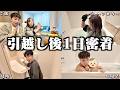 【引越し後】ひろと家の新たな生活を1日密着してみた。