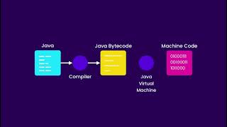 11  How Python Code is Executed