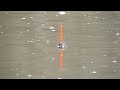 Šapalų žvejyba plūdine ant batono Šventojoje