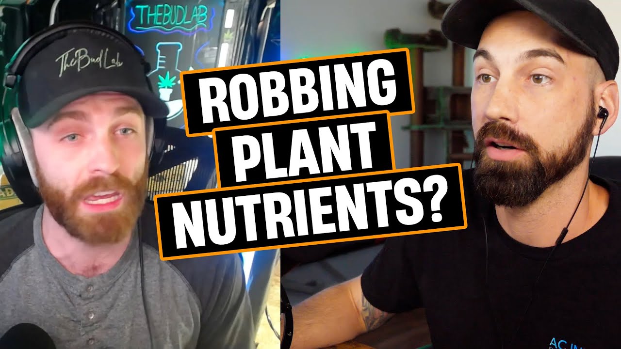 Does RO Water Remove Nutrients From Your Plant?