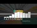 Payton  harmony electro house  plasmapool
