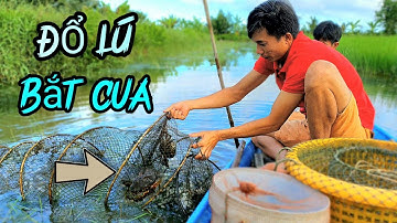 HLMT | Đổ Lú Bắt Cua Biển Nghịch Mùa