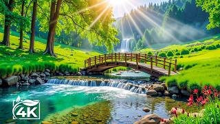 Restore Your Nervous System 🍀 Beautiful Relaxing Music for Stress Relief, Stop Overthinking #17