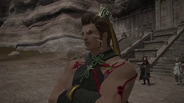 [PS4]Final Fantasy XIV(Monk)(The Power to Protect)