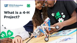 What is a 4 H Project?