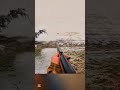 Удачная охота на зайца | Один выстрел023#охотанакролика#охотаназайца#охота#меткийвыстрел
