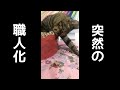 突然、職人になってしまう猫。