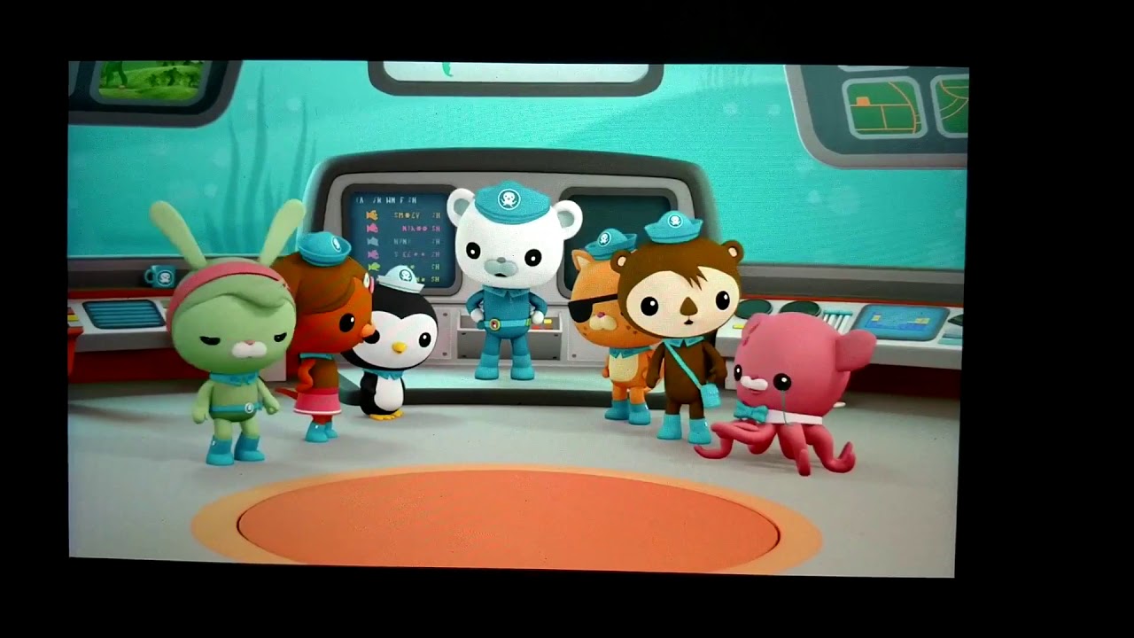 octonauts creature report