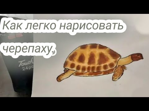 Рисуем сухопутную черепаху.
