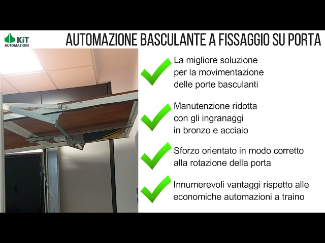 KIT AUTOMAZIONE UNIKO 100KG 24V MOTORE PORTA BASCULANTE CONTRAPPESI GARAGE  BOX : .it: Fai da te