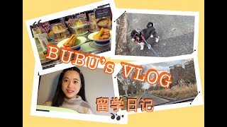 Bubu's Vlog 1 留学生日常 | 澳洲墨尔本留学 | GRWM 和我一起get ready | 回转寿司 | 做饭 | 遛狗
