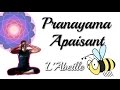 Pranayama  la respiration de labeille  bhramari