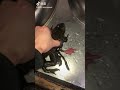 錬金術に失敗したような、奇形のカエル🐸