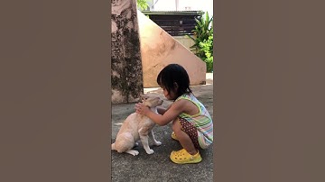 Empathy ความเห็นอกเห็นใจ #mindset #keera #เลี้ยงลูก #akira #cute #พัฒนาef #shots  #shot #ef