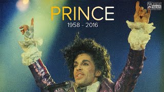 Prince - Anniversary Celebration! | The Hit Songs