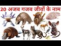 20 अजब-गजब जीवों के नाम सीखो  | 20 Most Strange &amp; Unusual Creatures on Earth for Kids Learning