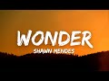 Shawn mendes  wonder trailer lyrics