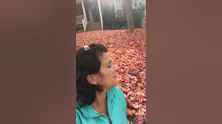 Jennifer Eck autumn leaves are falling song